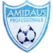 Amidaus Profs. FC